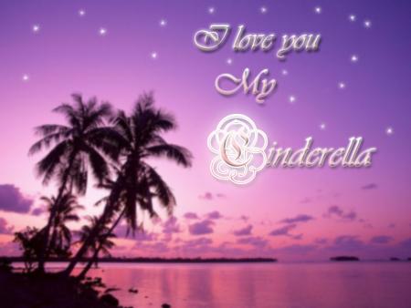 I love you my cinderella 